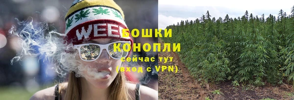 mix Белокуриха