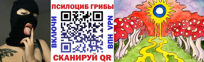 Купить где  Невель  Псилоцибиновые грибы мухоморы 